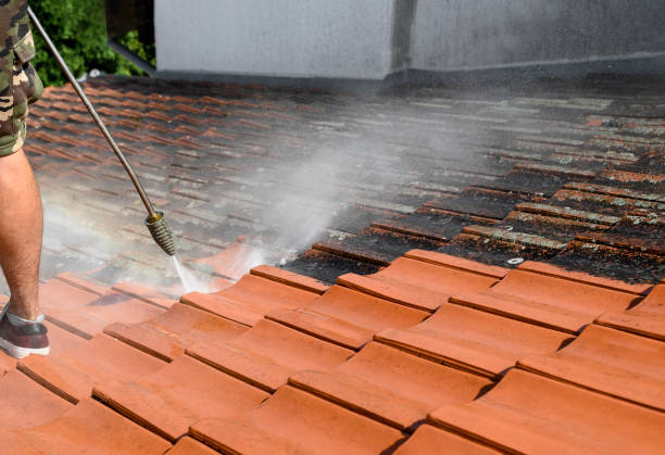 Pressure Washing Brick in Ridge Wood Heights, FL